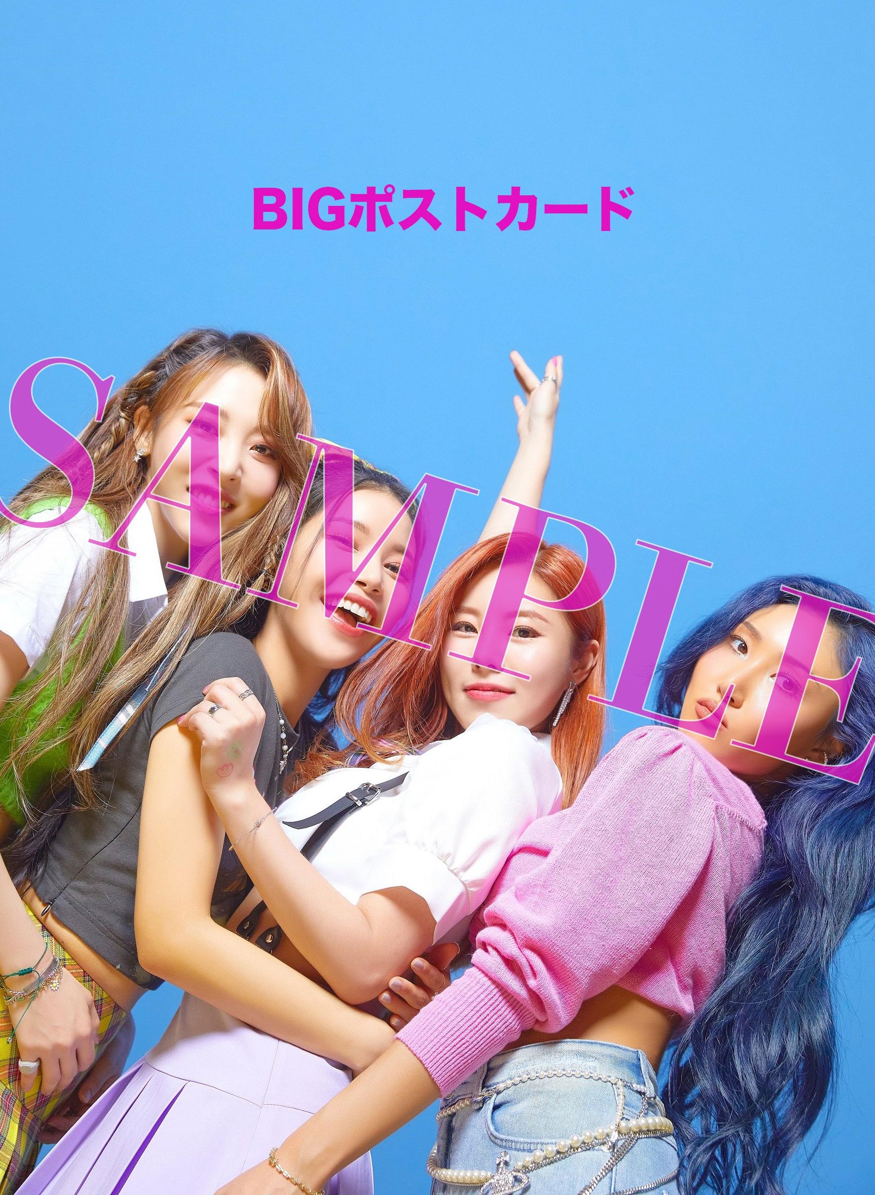 BIGCARD_SAMPLE