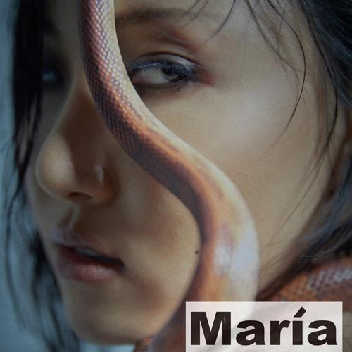 【新品未開封】MAMAMOO Maria 椅子 Amazon｜MAMAMOO Maria 椅子｜ダイニングチェア オンライン通販